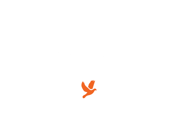 Sunny Ginger Co