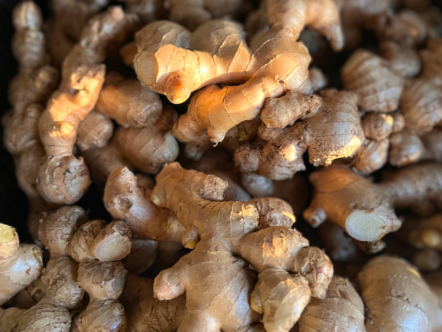 Fresh Mature Ginger (1kg) *FREE shipping